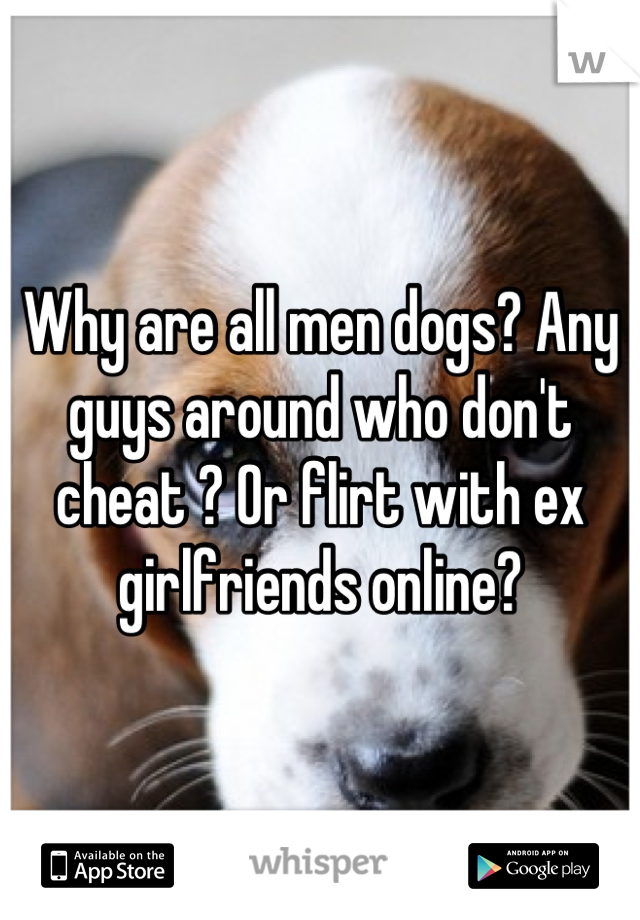 Why are all men dogs? Any guys around who don't cheat ? Or flirt with ex girlfriends online?