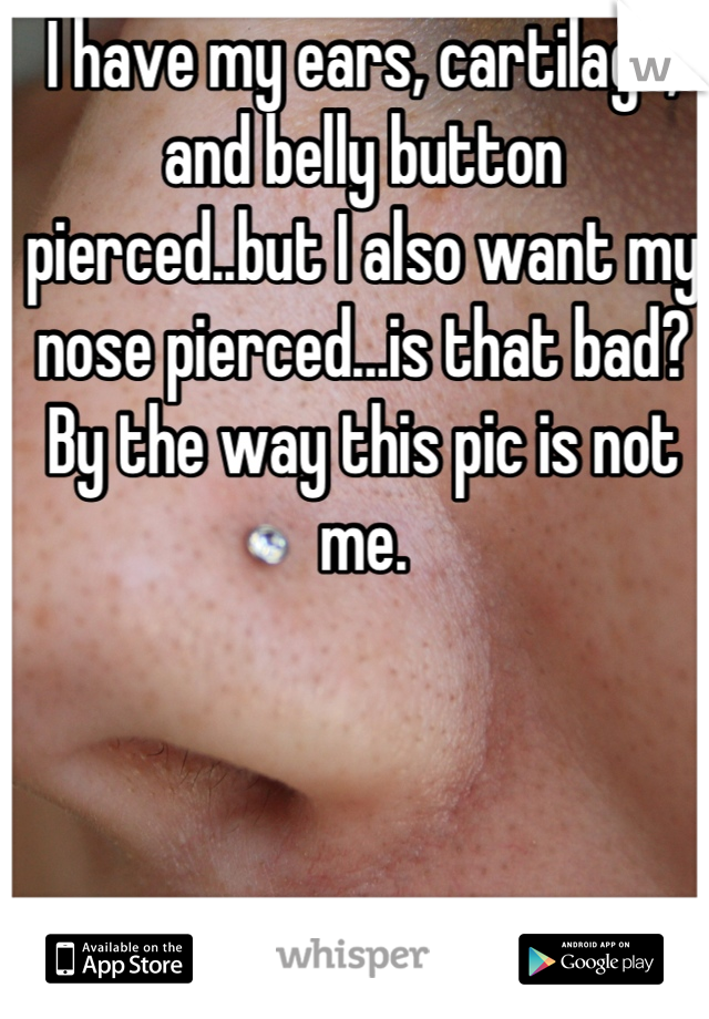 I have my ears, cartilage, and belly button pierced..but I also want my nose pierced...is that bad? By the way this pic is not me.