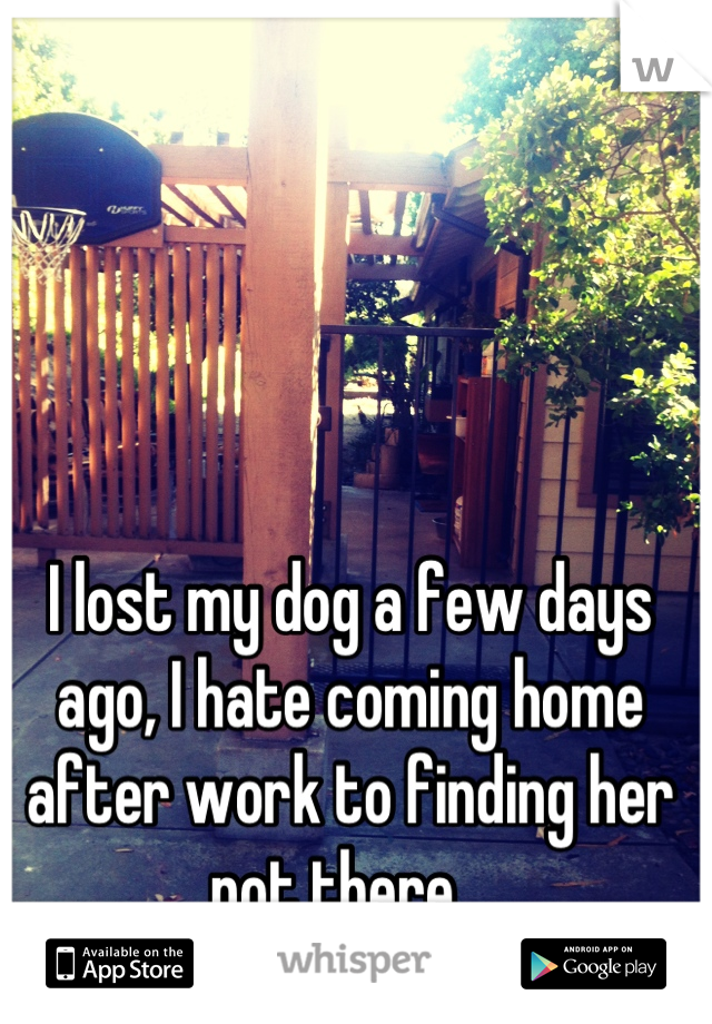I lost my dog a few days ago, I hate coming home after work to finding her not there...