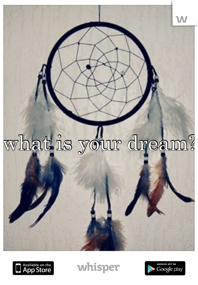 what is your dream? 