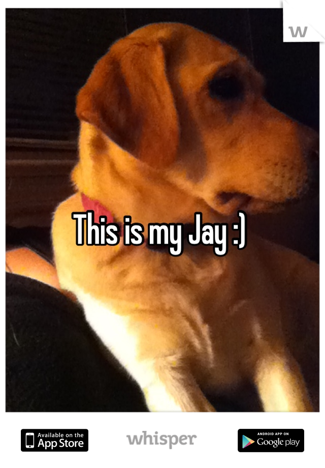 This is my Jay :) 