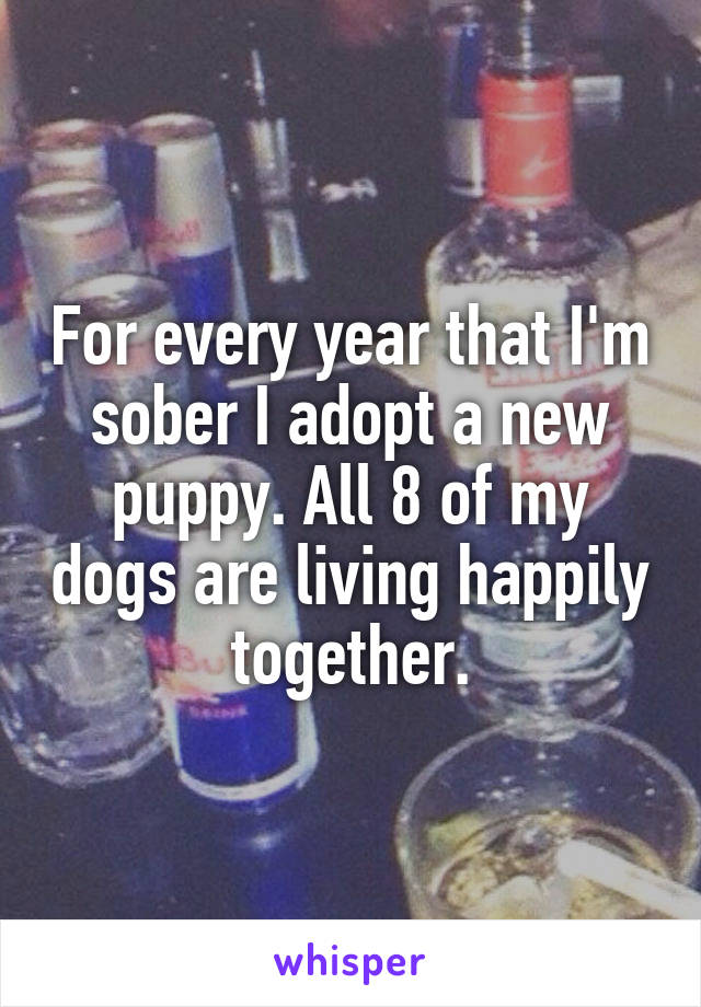For every year that I'm sober I adopt a new puppy. All 8 of my dogs are living happily together.