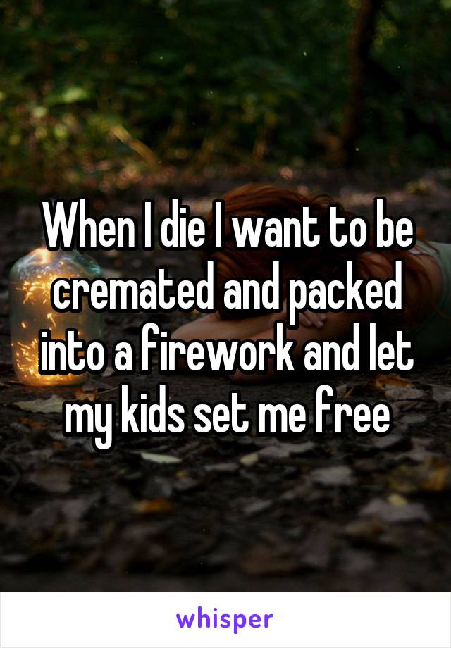 When I die I want to be cremated and packed into a firework and let my kids set me free