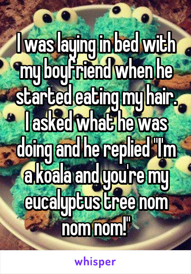 I was laying in bed with my boyfriend when he started eating my hair. I asked what he was doing and he replied "I'm a koala and you're my eucalyptus tree nom nom nom!"