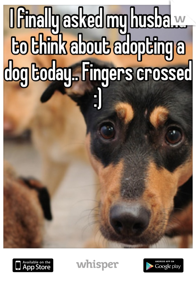 I finally asked my husband to think about adopting a dog today.. Fingers crossed :)
