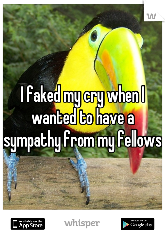 I faked my cry when I wanted to have a sympathy from my fellows