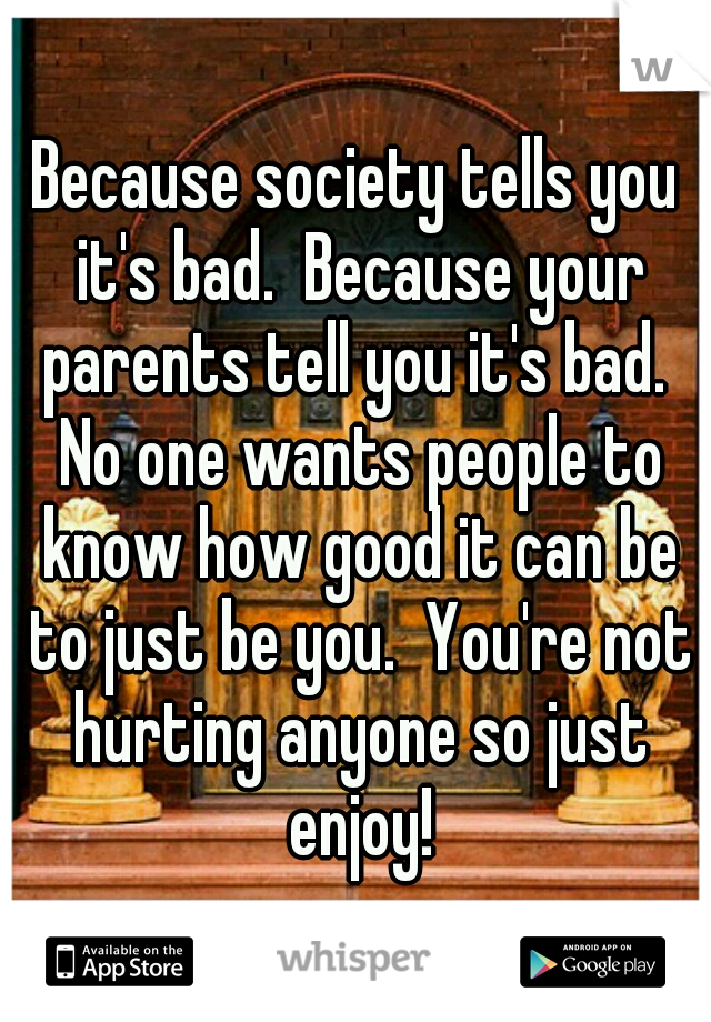 Because society tells you it's bad.  Because your parents tell you it's bad.  No one wants people to know how good it can be to just be you.  You're not hurting anyone so just enjoy!