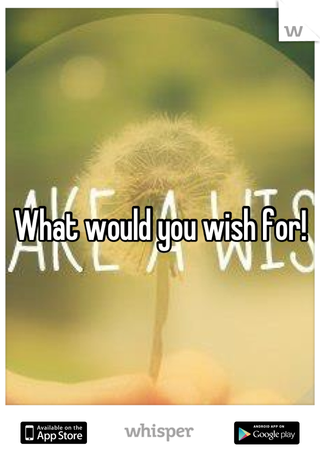 What would you wish for!