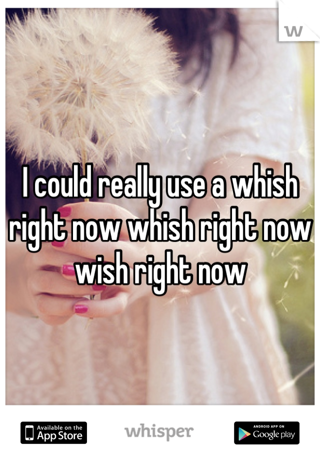 I could really use a whish right now whish right now wish right now