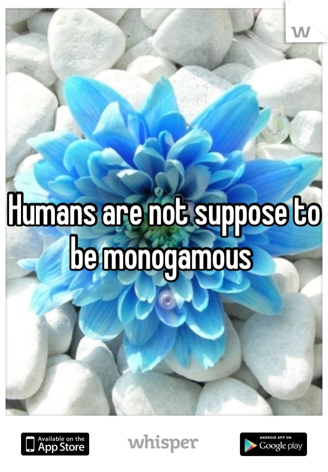 Humans are not suppose to be monogamous 
