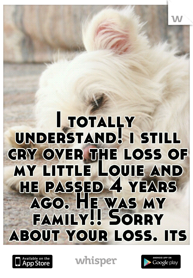 I totally understand! i still cry over the loss of my little Louie and he passed 4 years ago. He was my family!! Sorry about your loss. its tough to go through. 