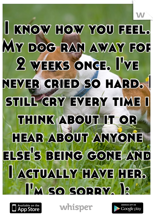 I know how you feel. My dog ran away for 2 weeks once. I've never cried so hard. I still cry every time i think about it or hear about anyone else's being gone and I actually have her. I'm so sorry. ):
