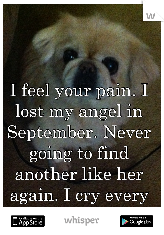 I feel your pain. I lost my angel in September. Never going to find another like her again. I cry every night still 