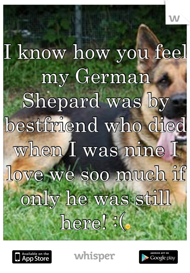I know how you feel my German Shepard was by bestfriend who died when I was nine I love we soo much if only he was still here! :(😕