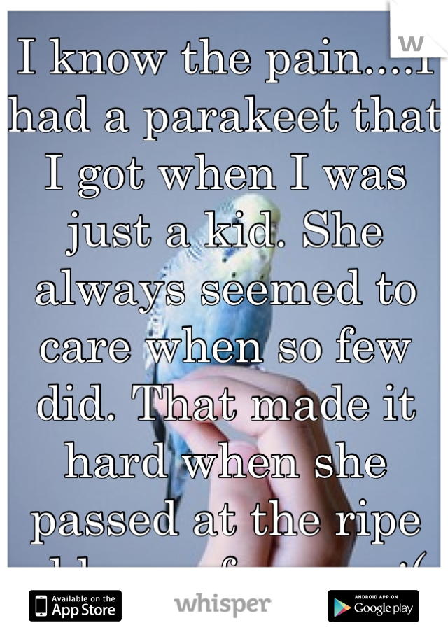 I know the pain....I had a parakeet that I got when I was just a kid. She always seemed to care when so few did. That made it hard when she passed at the ripe old age of seven. :(
