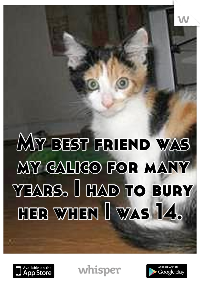 My best friend was my calico for many years. I had to bury her when I was 14. 