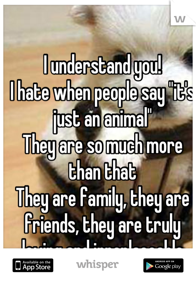 I understand you!
I hate when people say "it's just an animal" 
They are so much more than that
They are family, they are friends, they are truly loving and irreplaceable