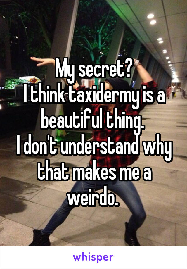 My secret?
I think taxidermy is a beautiful thing. 
I don't understand why that makes me a weirdo. 
