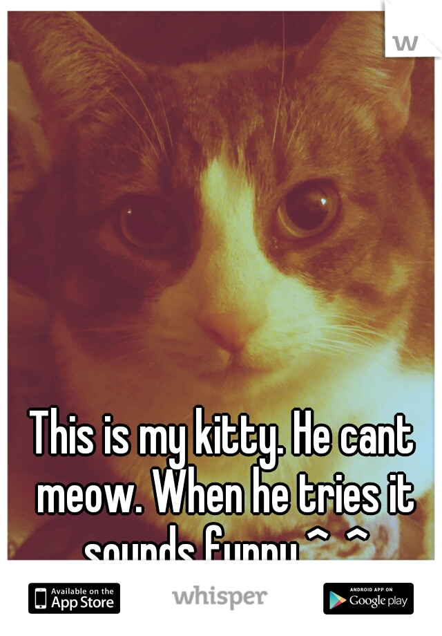 This is my kitty. He cant meow. When he tries it sounds funny ^_^