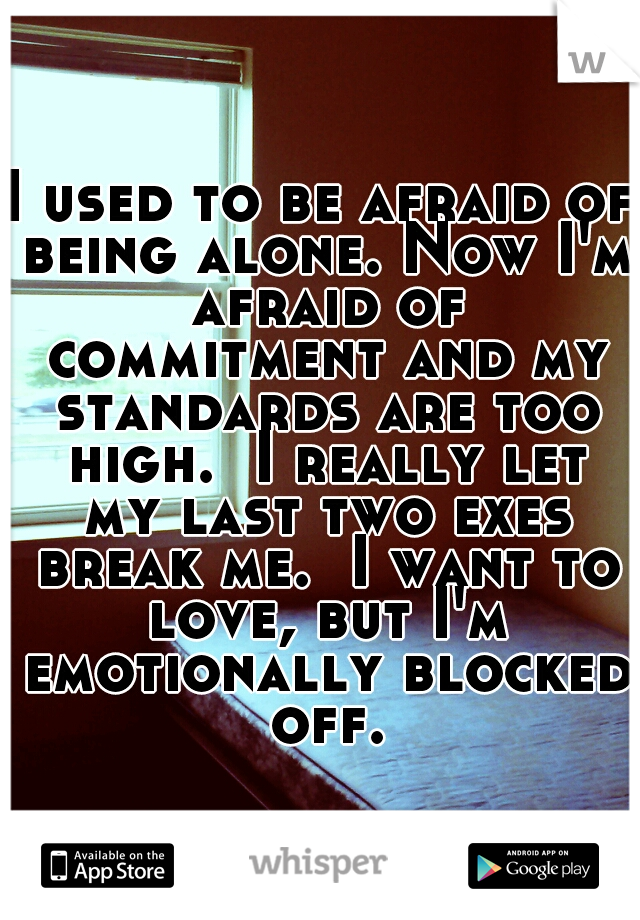 I used to be afraid of being alone. Now I'm afraid of commitment and my standards are too high.  I really let my last two exes break me.  I want to love, but I'm emotionally blocked off.