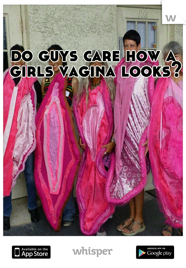 do guys care how a girls vagina looks?