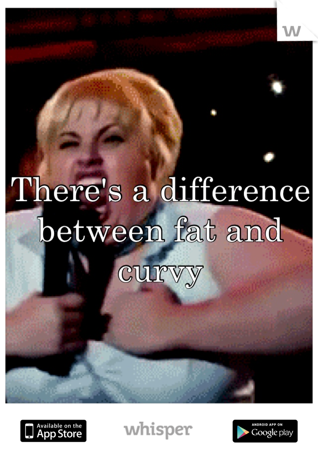 There's a difference between fat and curvy