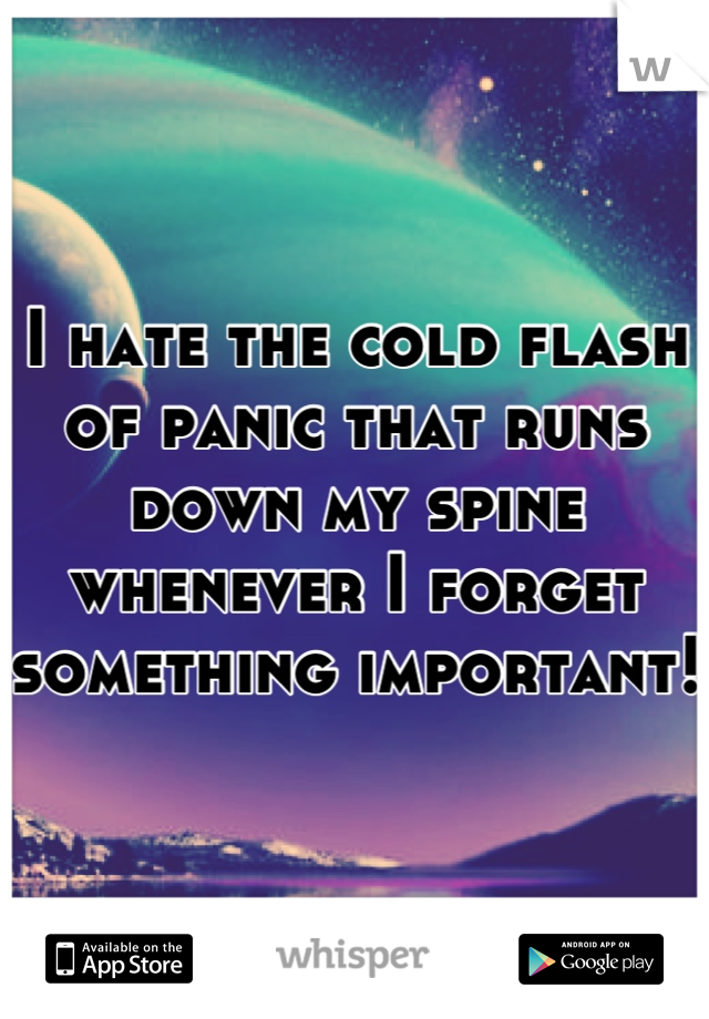 I hate the cold flash of panic that runs down my spine whenever I forget something important!