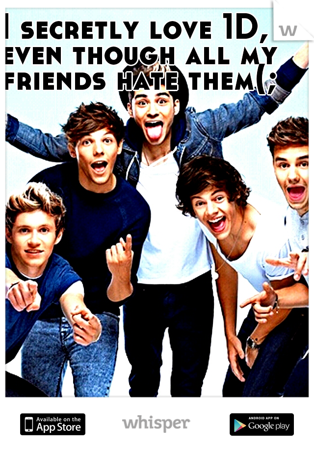 I secretly love 1D, even though all my friends hate them(;