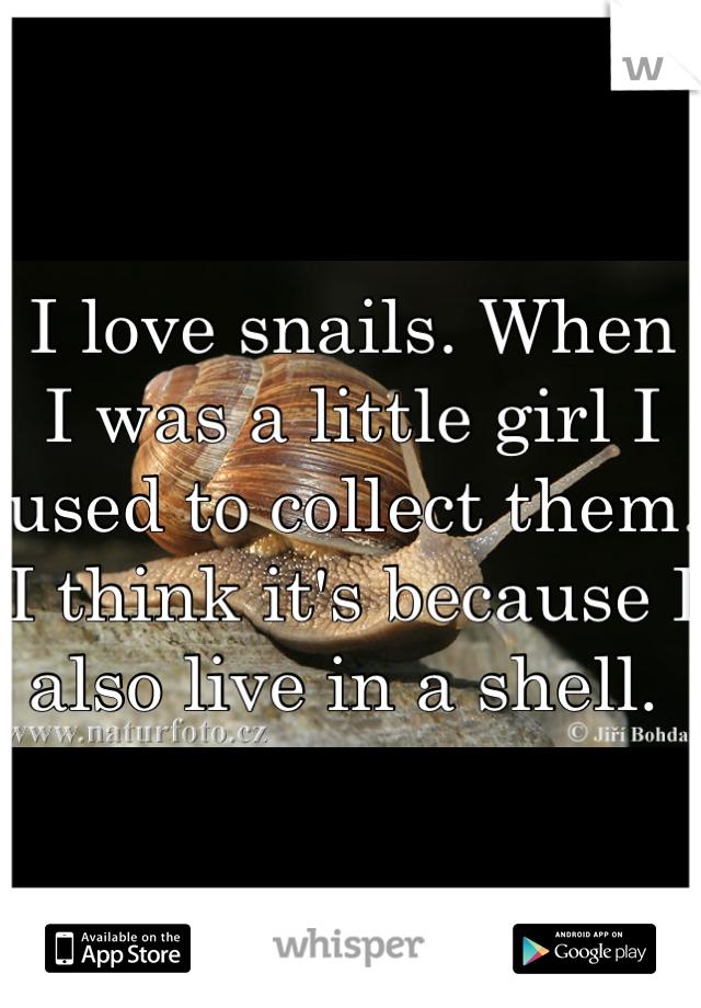 I love snails. When I was a little girl I used to collect them. I think it's because I also live in a shell. 