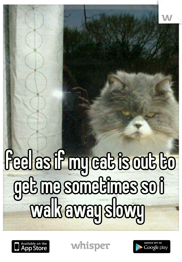 I feel as if my cat is out to get me sometimes so i walk away slowy 