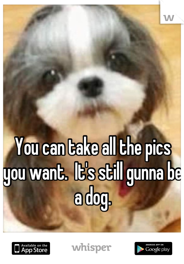 You can take all the pics you want.  It's still gunna be a dog.