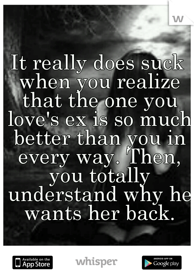 It really does suck when you realize that the one you love's ex is so much better than you in every way. Then, you totally understand why he wants her back.
