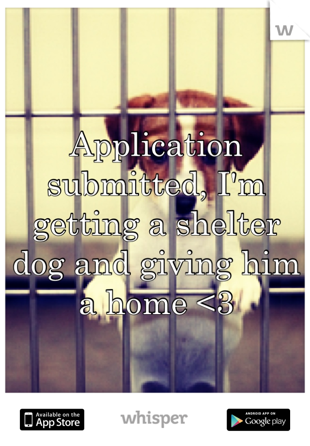 Application submitted, I'm getting a shelter dog and giving him a home <3