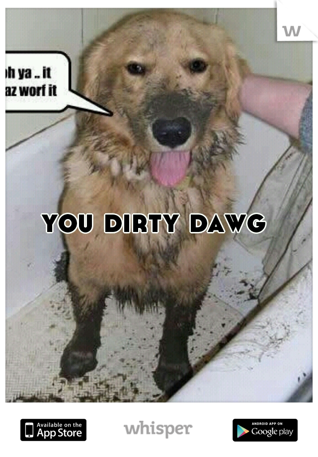 you dirty dawg 