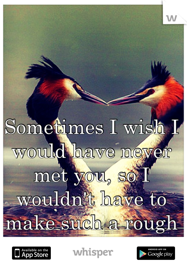 Sometimes I wish I would have never met you, so I wouldn't have to make such a rough decision. 