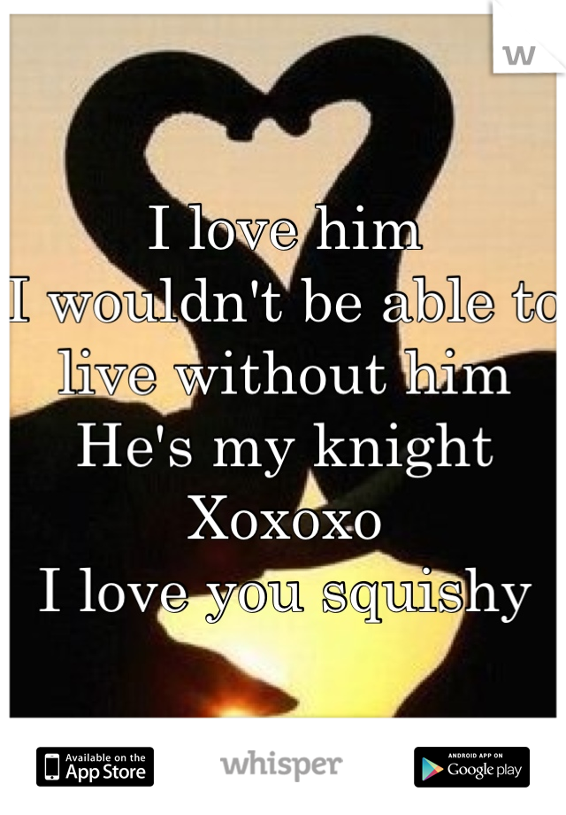 I love him
I wouldn't be able to live without him 
He's my knight
Xoxoxo
I love you squishy
