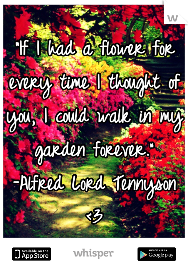 "If I had a flower for every time I thought of you, I could walk in my garden forever."
-Alfred Lord Tennyson <3