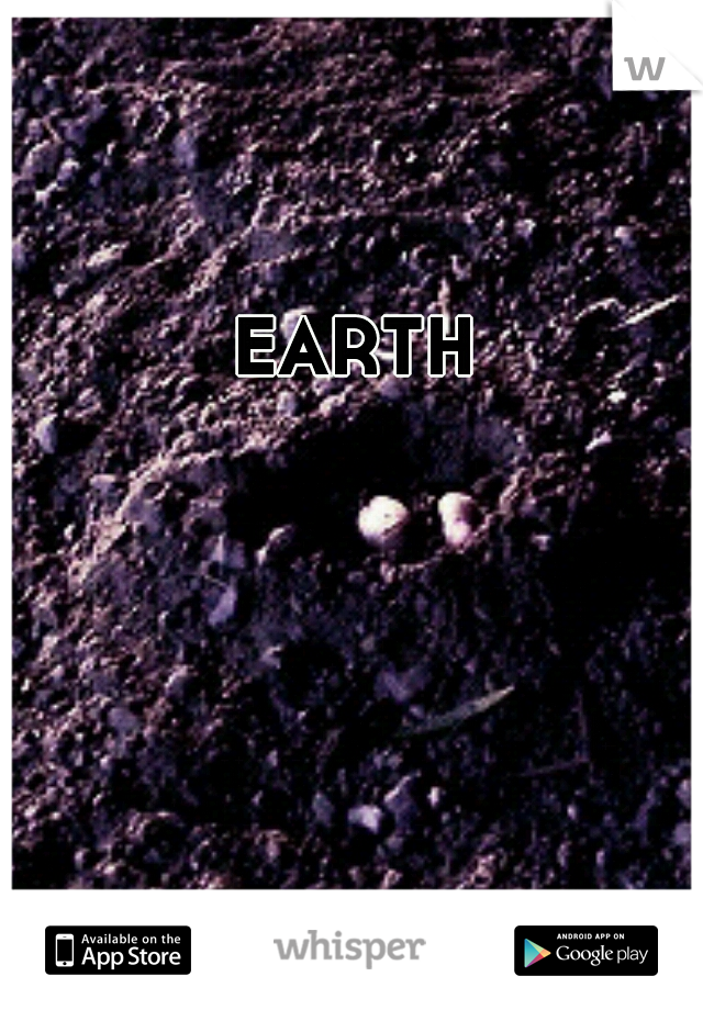 EARTH 