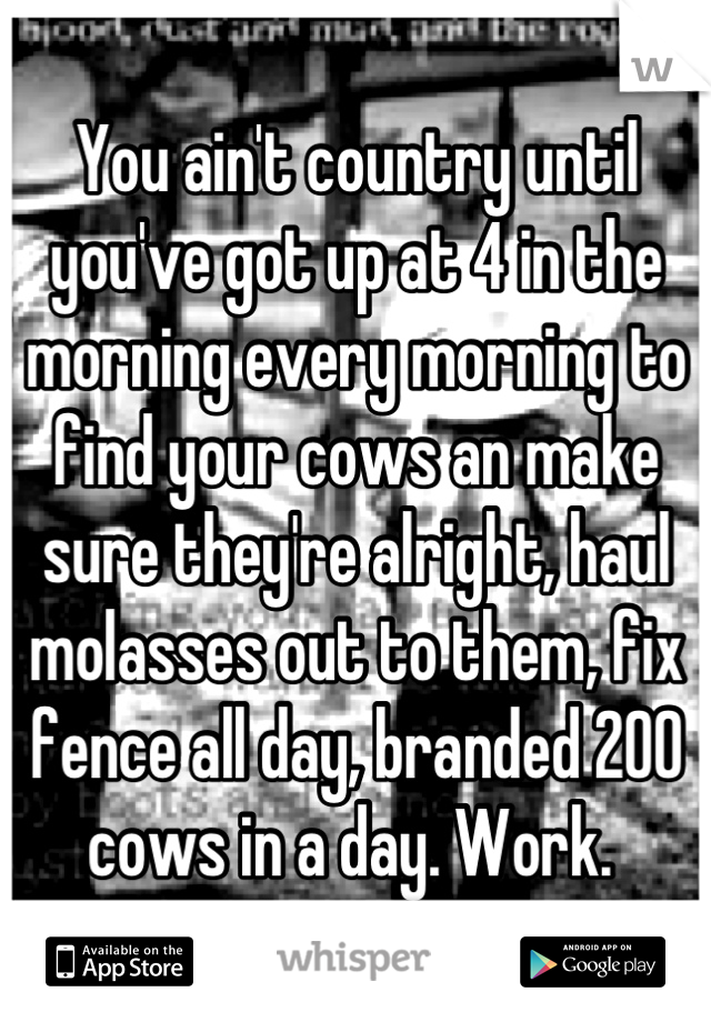 You ain't country until you've got up at 4 in the morning every morning to find your cows an make sure they're alright, haul molasses out to them, fix fence all day, branded 200 cows in a day. Work. 
