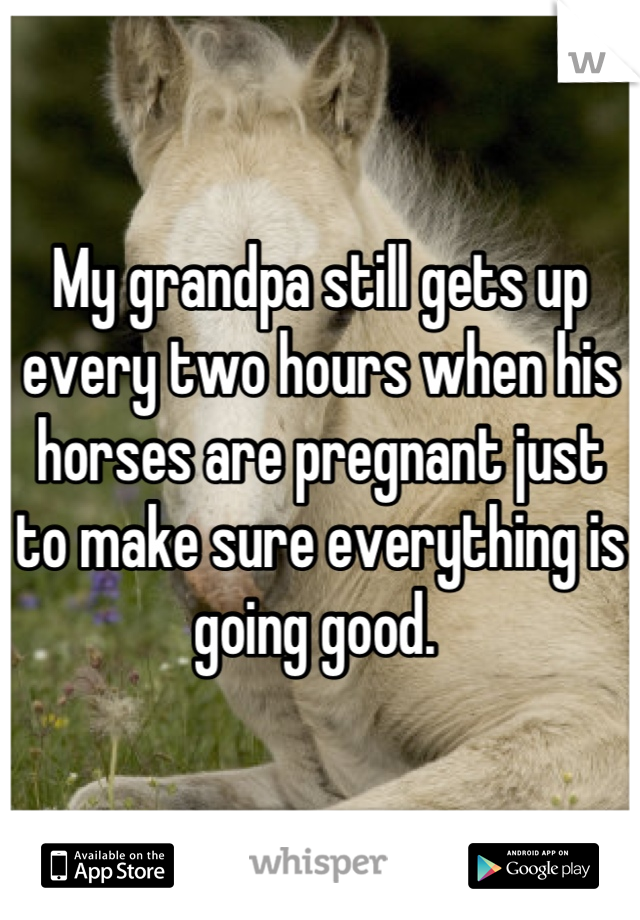 My grandpa still gets up every two hours when his horses are pregnant just to make sure everything is going good. 