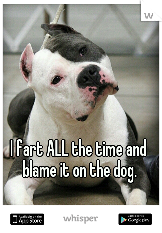 I fart ALL the time and blame it on the dog.