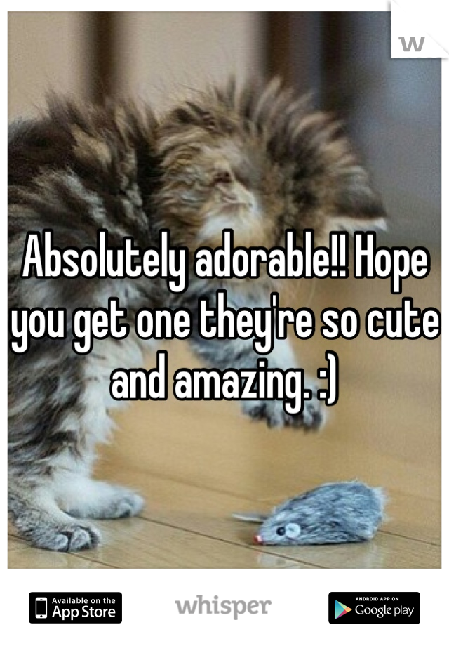 Absolutely adorable!! Hope you get one they're so cute and amazing. :)