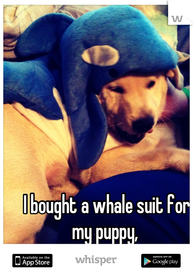 I bought a whale suit for my puppy, 