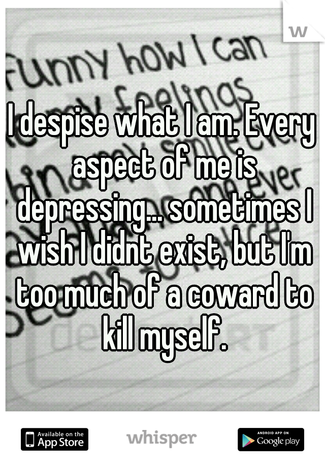 I despise what I am. Every aspect of me is depressing... sometimes I wish I didnt exist, but I'm too much of a coward to kill myself.