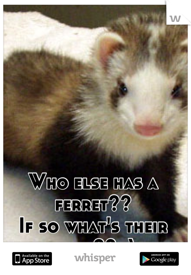 Who else has a ferret??
If so what's their name?? :)