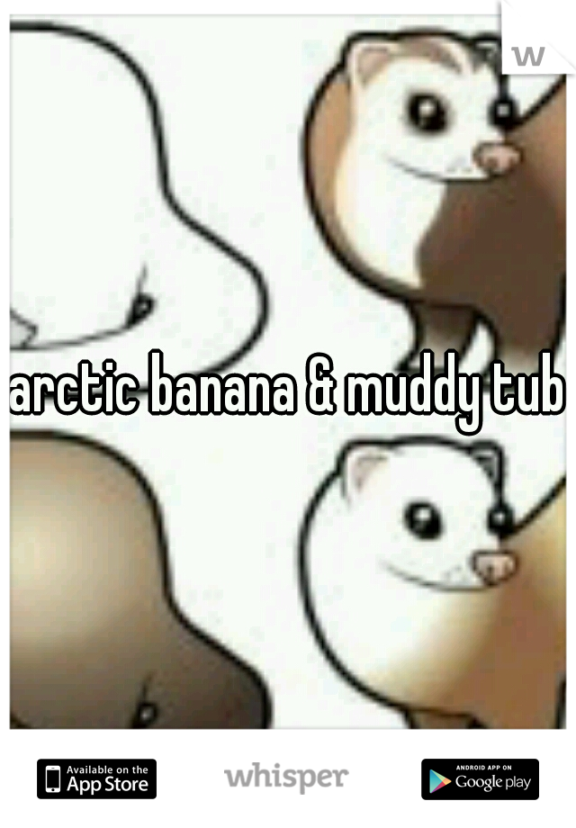 arctic banana & muddy tubz