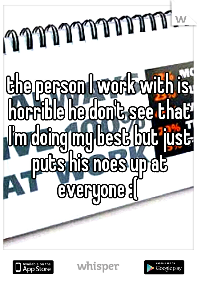 the person I work with is horrible he don't see that I'm doing my best but just puts his noes up at everyone :( 