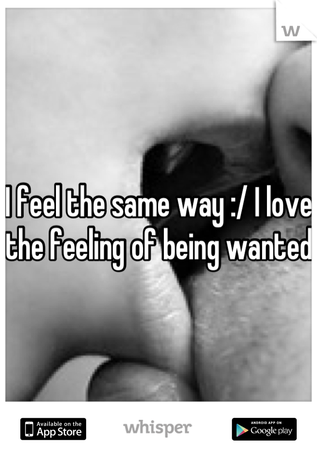 I feel the same way :/ I love the feeling of being wanted