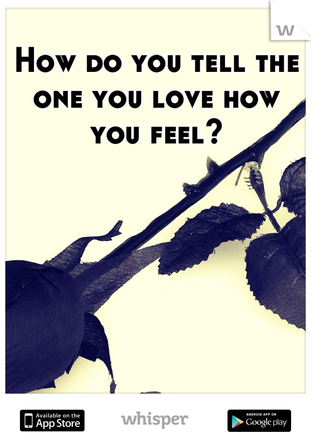 How do you tell the one you love how you feel?