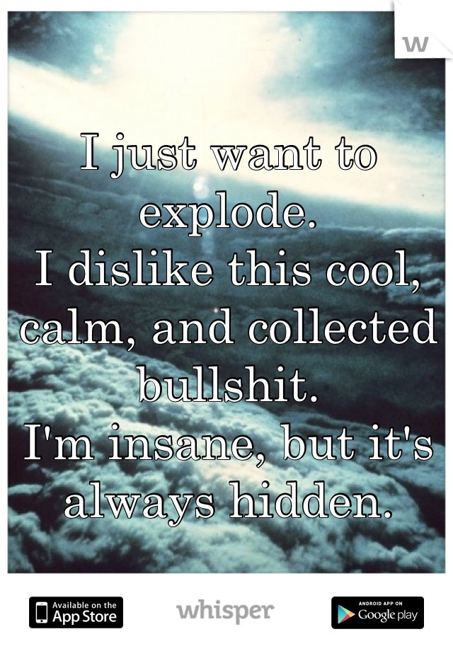 I just want to explode.
I dislike this cool, calm, and collected bullshit.
I'm insane, but it's always hidden.